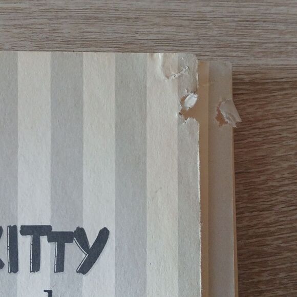 Bad Kitty VS Uncle Murray Graphic Novel Nick Bruel 2010 - Picture 11 of 13